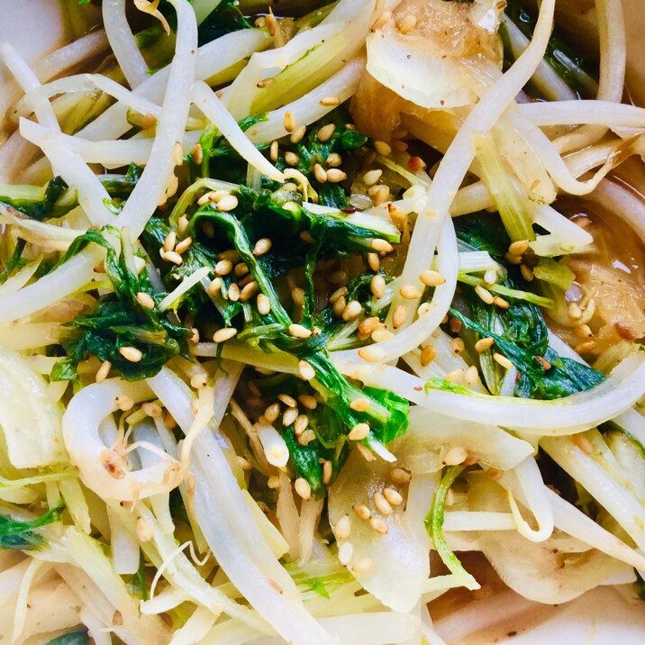 水菜ともやしの炒め物